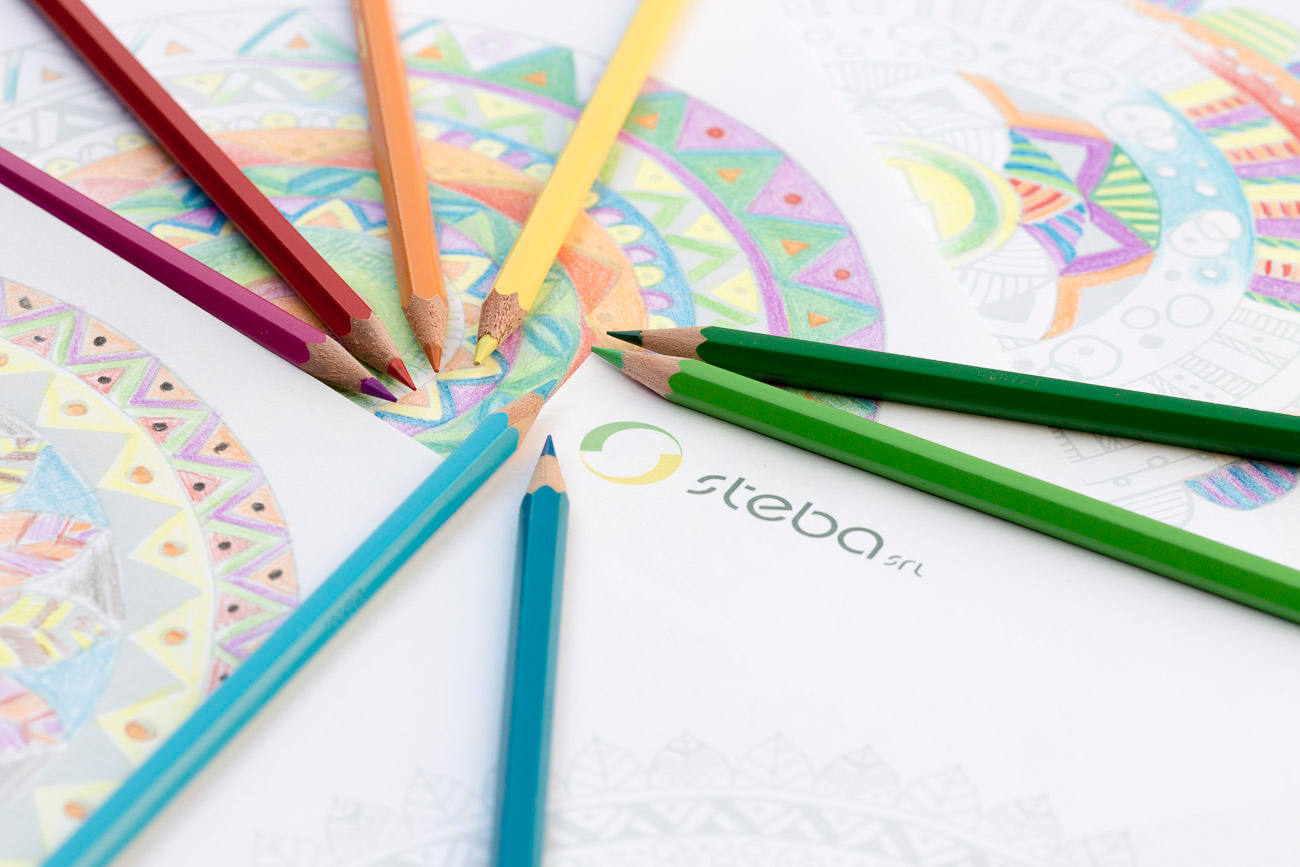 STeBA-photo-news-Mandala-allegropanic-3