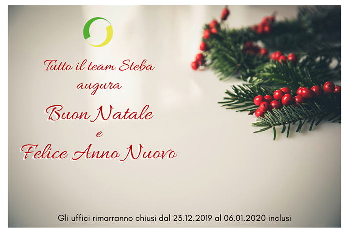 steba christmas 2019