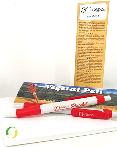 Progetti Steba, Intervista 4