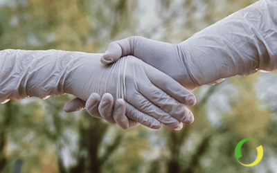 Steba has returned to its headquarters in Arcore.