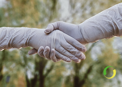 Steba è ritornata in sede ad Arcore