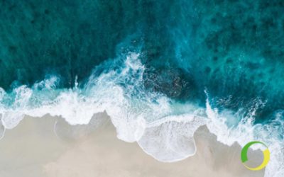 Steba introduces a new recycled plastic: the Bantam