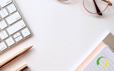 Steba and plans after the 2020 summer vacation return