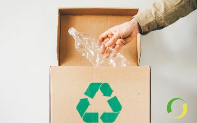The disposal and reuse of plastic in containers
