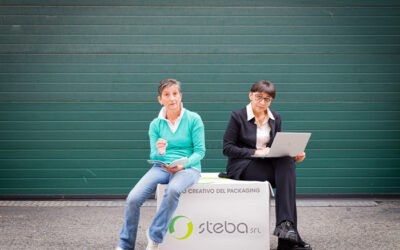 The strength of the Steba purchase