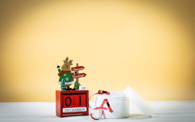 The 2022 Steba Advent Calendar